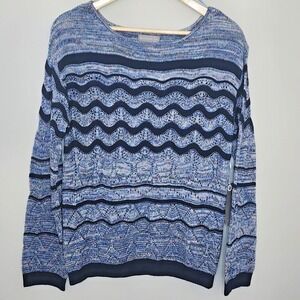 Evolution by Cyrus Sweater Blue Multi Chevron Wave Pointelle Womens Size S